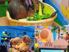 -凯德MALL(西直门店)