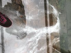 -九龙江国家森林公园