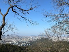 -灵顺寺