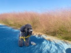-小洋口旅游度假区