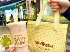-猫的魔法密林(衣裳街店)