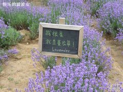 -云峰山自然风景区