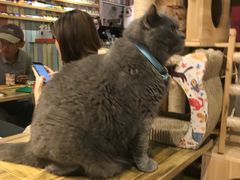 -小时光咖啡馆(开森度假森林店)