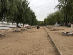 沙滩浴场-青龙湖公园