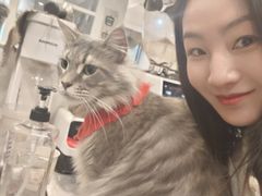 -楼上猫咖(罗湖店)