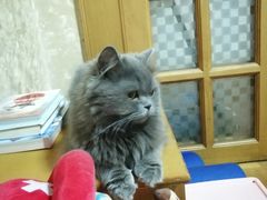 -艾贝尔宠物医院·狂犬免疫点(江山金象城店)