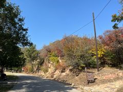 -北京西山国家森林公园