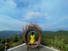 -武陵山森林公园
