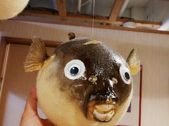 -玄品河豚(那覇國際通里之関)