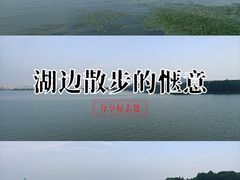 -蠡湖中央公园