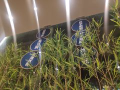 -贵凤凰贵州米粉(五道口店)