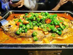 海鲈鱼-炉鱼(天河领展店)