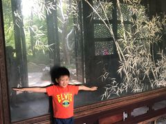 -西湖外事游船(花港观鱼码头)