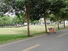 -广东花都湖国家湿地公园