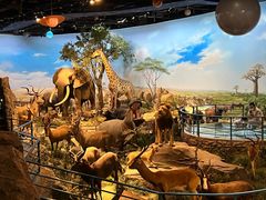 -陕西自然博物馆