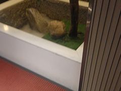 -上足·影院足道·SPA(红岭店)