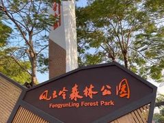 -风云岭森林公园