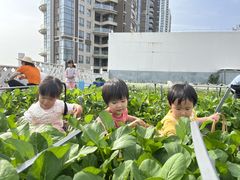 -珠海市凤凰海域国际幼儿园