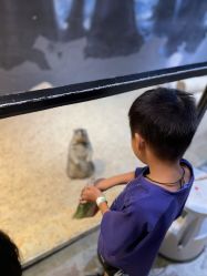 -酷嗒动物文化乐园(cutezoo西溪乐天城店)