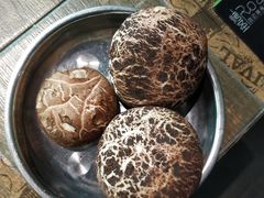 -烤圣自助美食音乐餐厅