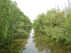 -溱湖国家湿地公园