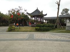 -飞来湖湿地公园