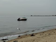 -南戴河旅游度假区