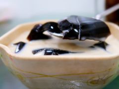 牛奶龟苓膏-百家缘(东门南路店)