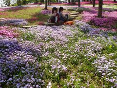 -南通洲际绿博园