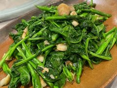 猪油渣蒜炒板蓝根-四海酒家生态粤菜