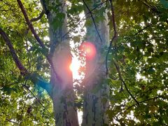 -国家植物园南园