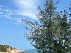 -广东惠东海龟国家级自然保护区