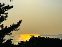 -星海湾跨海大桥