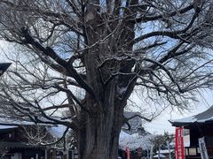 -医王山·飞騨国分寺