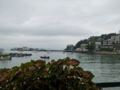 -南丫岛