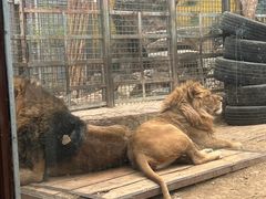 -荆州中山公园动物园