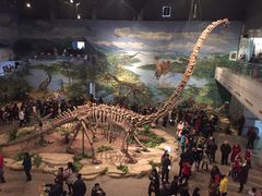 -自贡恐龙博物馆
