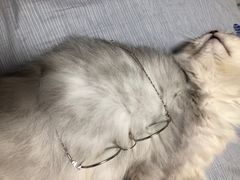 -罗创丹阳眼镜(童卫路店)