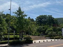 -铁山坪森林公园