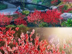 -桃花涧