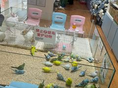 -鹏欣水游城