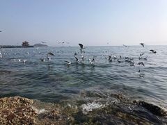 -青岛第二海水浴场