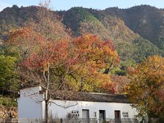 -塔川景区