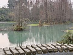 -桤木河湿地公园