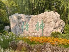 -上海鲜花港