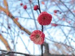 -常德桃花源景区