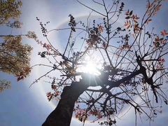 -国际邮轮中心码头(厦鼓码头)