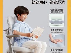 -光明园迪儿童学习桌椅(广州购书中心店)
