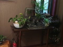 -莱蔻·圣灸堂·推拿艾灸(天山店)