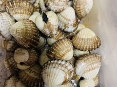 -华盛丰温州大排档(东三环南路店)